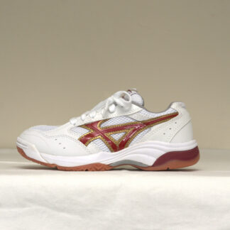 体育館シューズ(中高)